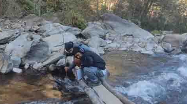 service
